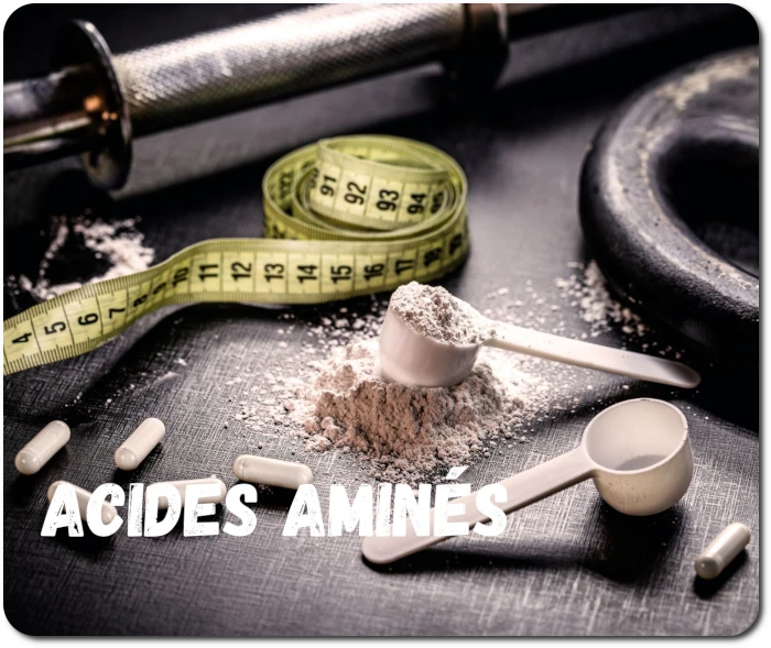ACIDES-AMINES